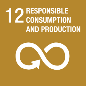 Responsible consumption and production